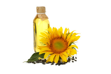 Sunflower, seeds and oil isolated on white background