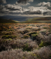 landscape with mountains