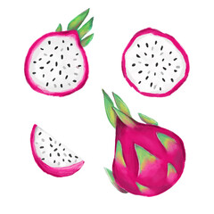 Hand drawn watercolor Pitaya Fruit. Dragon Fruit isolated on a white background. 