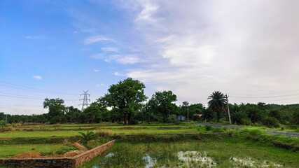 landscape view of village road along with blue sky