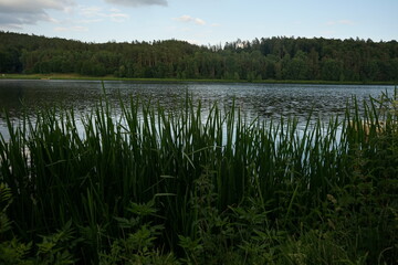 Der Twistesee ist ein Stausee an der Twiste