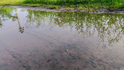 reflection view of small plants and sky on water