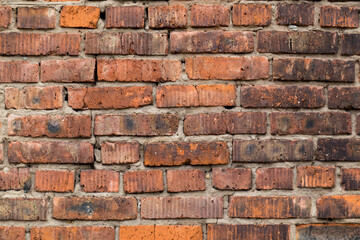 Obraz premium old brick wall