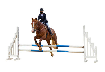 girl jockey riding a horse jumping over an obstacle white wooden isolated on a white background