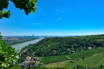 Panoramablick über Wien mit Donau und Nussberg