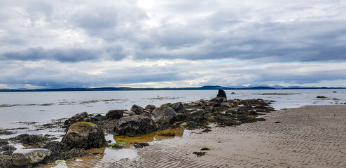 seagulls on the beach