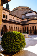 Obraz premium La Cour des Lions de l’Alhambra
