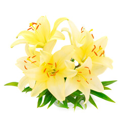 Bouquet of yellow lilies.