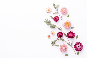 Flower composition. Eucalyptus branches and dry flowers on white background. Flat lay. Top view. Copy space