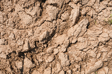 Cracked dry earth as background