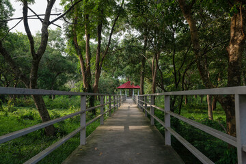 woman walking on bridge in park