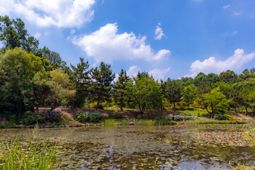 Fototapeta na wymiar Beautiful park with a pond in great weather