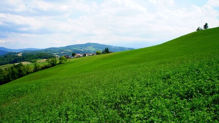 Fototapeta premium Hilly landscape on the blue sky background