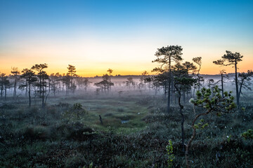 Sunrise over the swamp