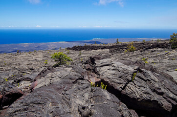 Lava desert with black solidified magma rocks form fertile ground for tropical vegetation and...