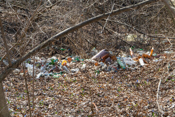 Big pile of plastic and glass bottles and other garbage in forest.  Forest polluted by human rubbish recyclable litter. Ecology concept of the dangerous trash. Landscape photo, copy space.