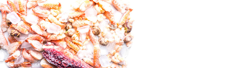 assortment of frozen seafood on ice cubes, shrimps, Babylonia areolata shellfish snails, langoustines, rich in iodine, antioxidants and vitamin, close up