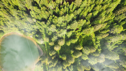 Aerial view of beautiful mountain trees in summer season
