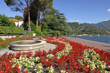 giardino urbano con fiori a como italia