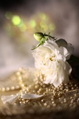 wedding rings on a flower