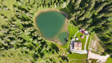 Alpin lake in summer time surrounded by beautiful forest, overhead downward aerial view