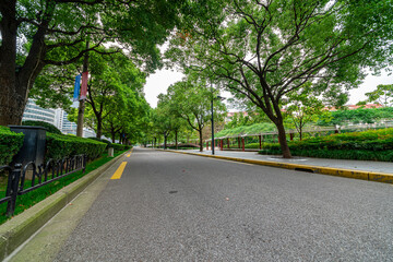 The city's tree-lined asphalt roads.