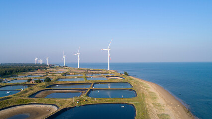 Seaside wind power generation and coastal salt and farming farms.