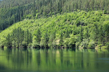 lago estanque pantano rio país vasco 4M0A1448-as20