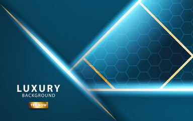 luxury premium abstract blue vector background banner, with gold line.Overlap layers with paper effect.Realistic light effect on textured hexagon background.vector illustration.