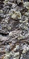 Abstract authentic authentic colored old stones backgrounds