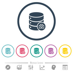 Database snapshot flat color icons in round outlines