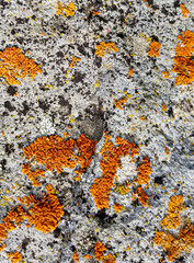 Abstract authentic authentic colored old stones backgrounds