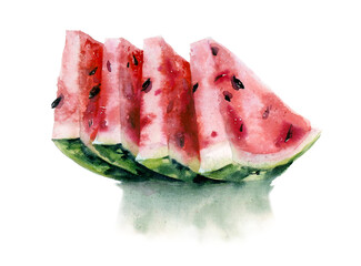 Watercolor painting. The slices of watermelon on white background. - 363942491