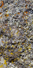 Abstract authentic authentic colored old stones backgrounds