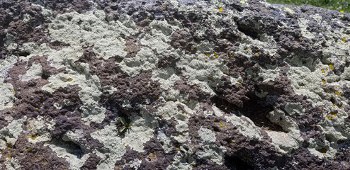 Abstract authentic authentic colored old stones backgrounds