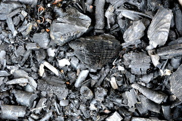Charcoal. Ash heap. Burned wood. Texture.