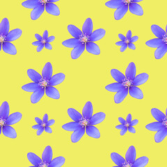 Obraz premium Seamless pattern of wild and forest flowers on a neutral background. Color breath of summer.
