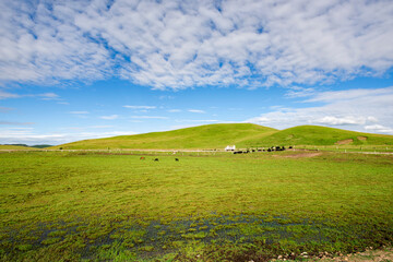 Fototapeta premium The pastures of the plateau steppe