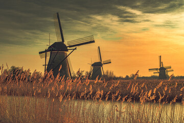 dutch windmill in sunset