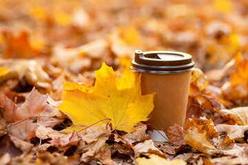 Walk with a cup of hot cocoa in the autumn park. Craft cup of coffee on the road with yellow fallen...