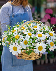 braided basket with chamomile colors