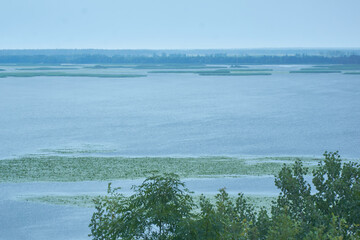 View of the Voronezh reservoir from the right bank on a summer morning
