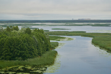 View of the Voronezh reservoir from the right bank on a summer morning