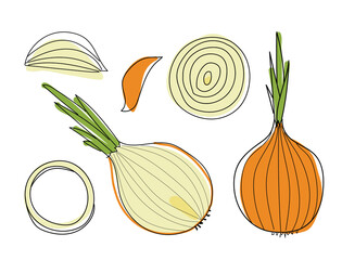 Hand drawn vector illustration – onion isolated on white. Concept of healthy food, vegetable. Cartoon doodle style. Set of elements for your design © Elena Poigina