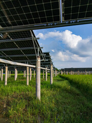 Solar power generation in rice fields under blue skies and white clouds