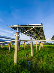 Fototapeta premium Solar power generation in rice fields under blue skies and white clouds