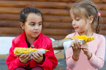 Two little girl harvesting and eating corn in corn field. Agriculture concept.