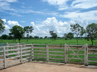 Fototapeta na wymiar cattle corral in the brazilian country side