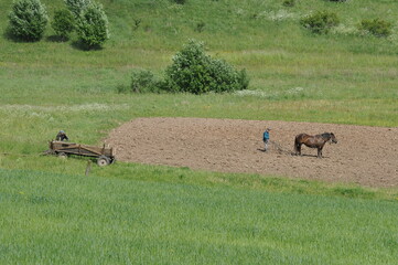 Prace polowe. Orka. Polska - Mazury - Warmia. © Rafa