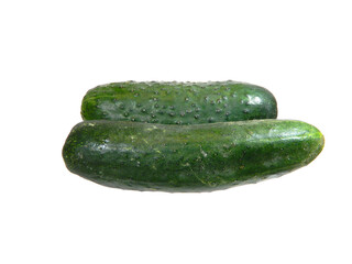 fresh cucumber isolated on white background